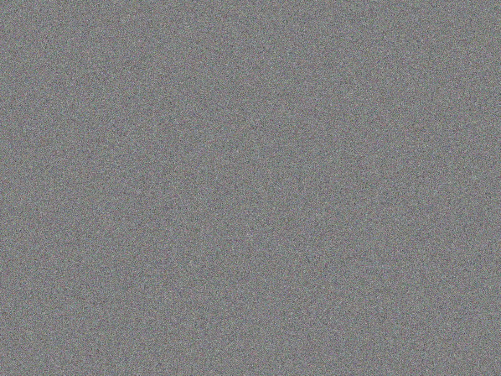 S3 probe